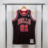 Chicago Bulls, Dennis Rodman '96