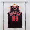 Chicago Bulls, Dennis Rodman '96